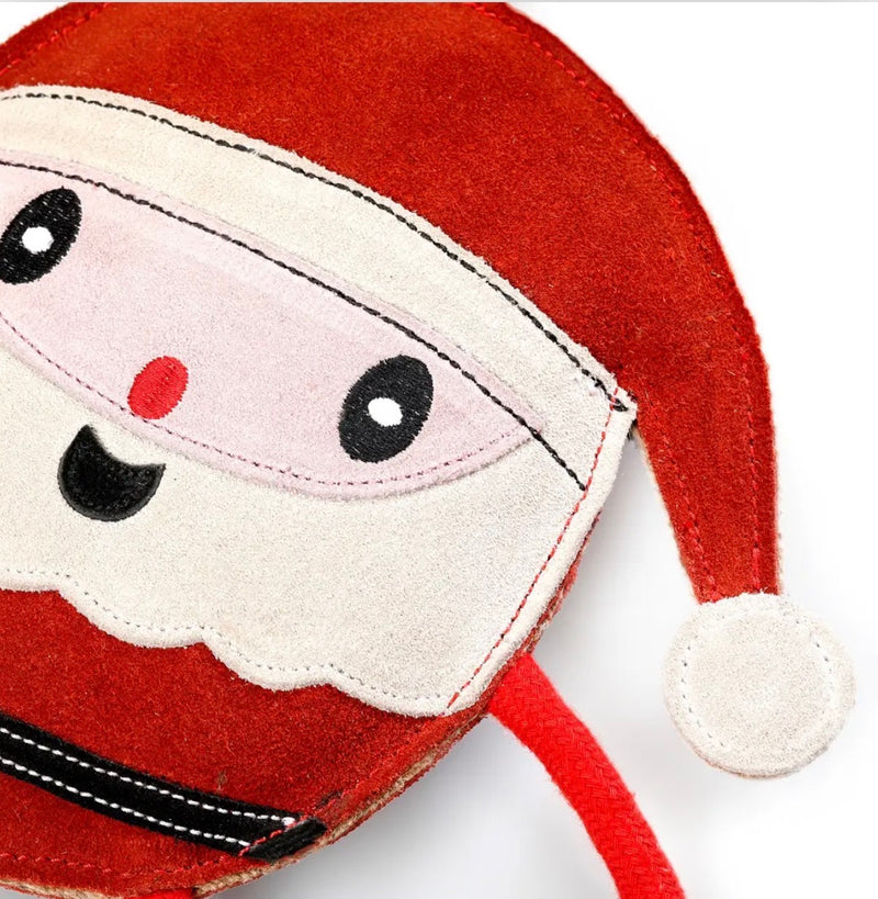 Chris Christmas, Eco Dog Toy