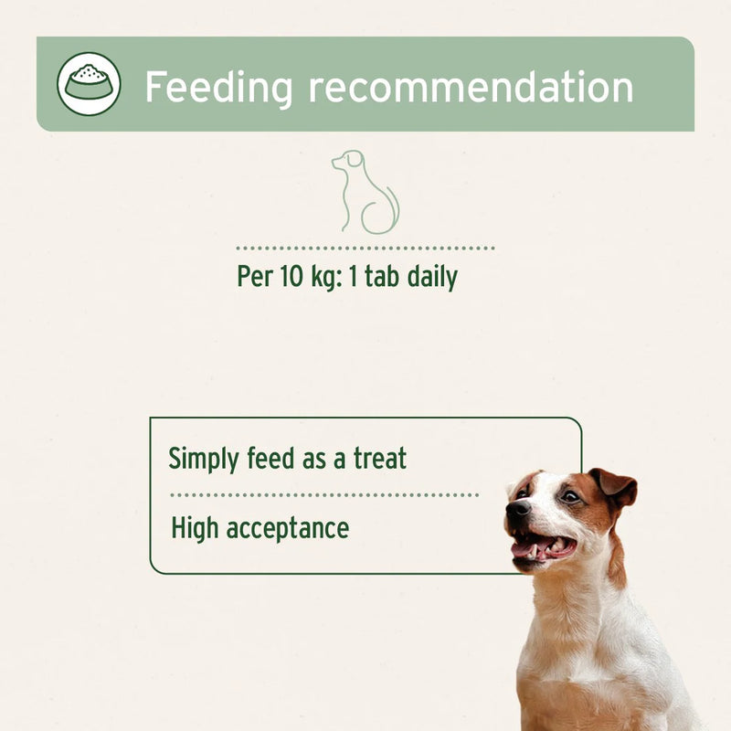 AniForte Agility Vet Joint Care Tablets for Dogs - 120 tablets