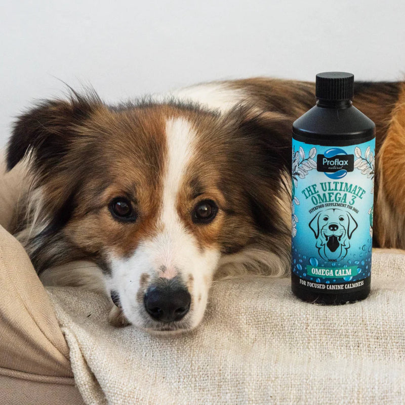 Proflax Omega Calm Oil for Dogs – 250ml
