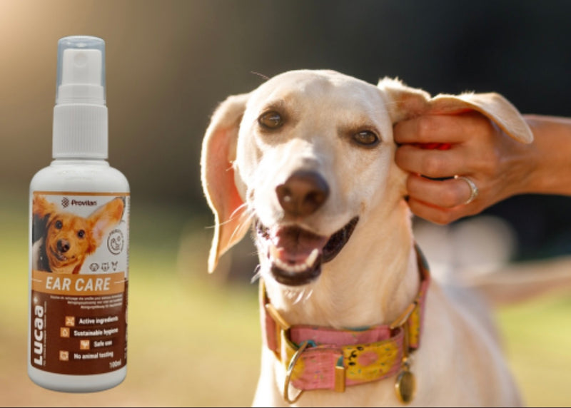 LUCAA+ Pet Probiotic Ear Care - 100ml Spray
