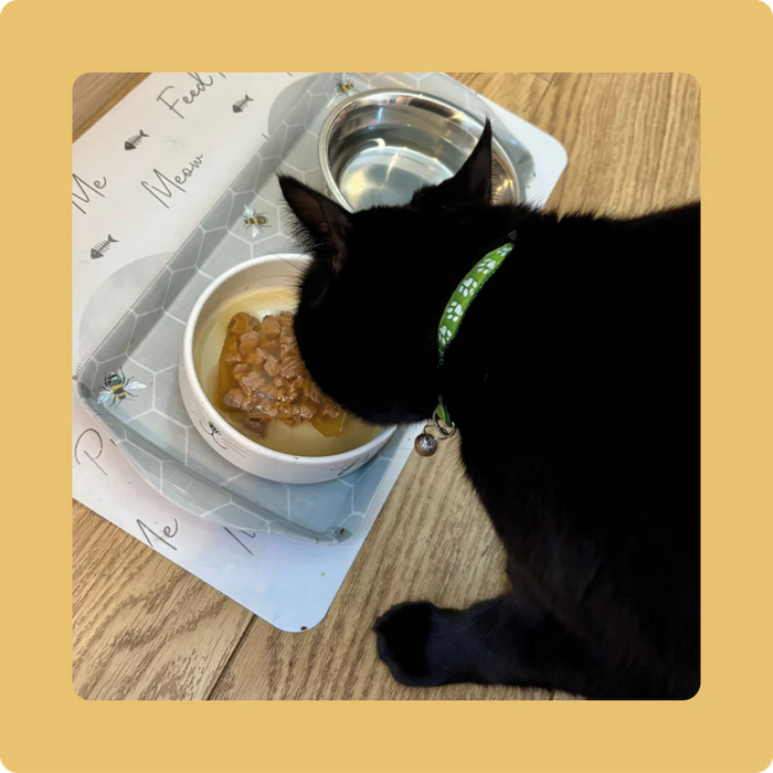 Axels Elixirs Turkey Happy Bones for Cats