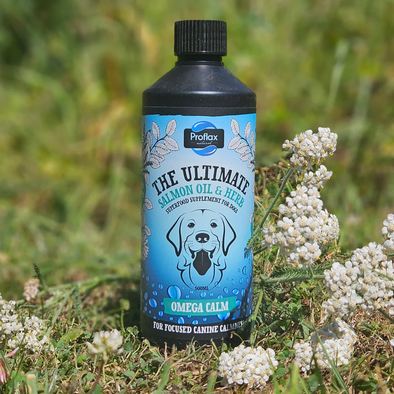 Proflax Omega Calm Oil for Dogs – 250ml