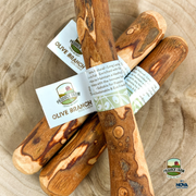 Nova Olive Wood Branch Chew Large