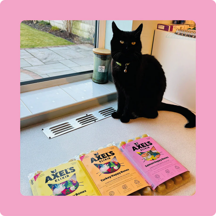 Axels Elixirs Salmon Happy Bones for Cats