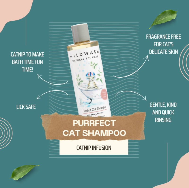 WildWash Purrfect Cat Shampoo 250ml