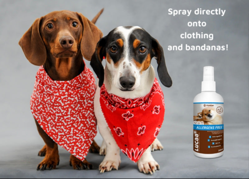LUCAA+ Pet Probiotic Allergen-Free 300ml