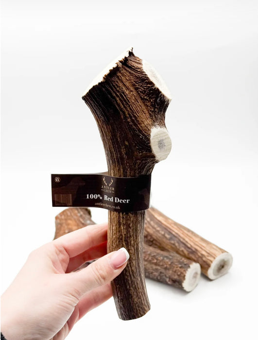 Deer Antler Chew Super XL