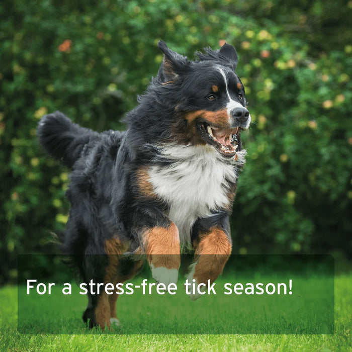 AniForte Tick Shield for Dogs - 60 Capsules Large Dogs