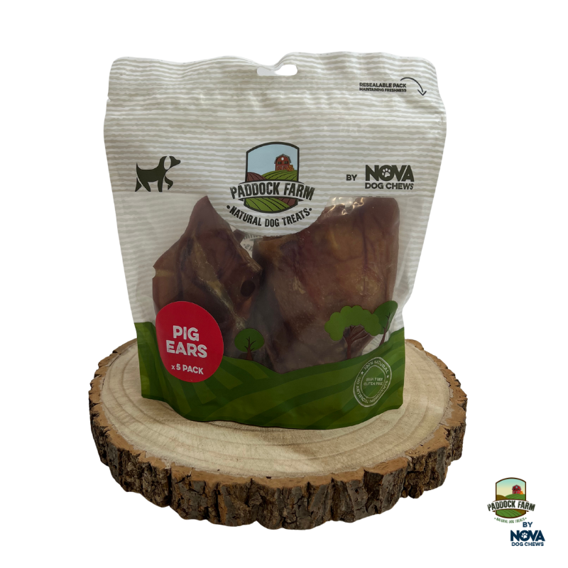 Medium Pig Ears - pack of 5