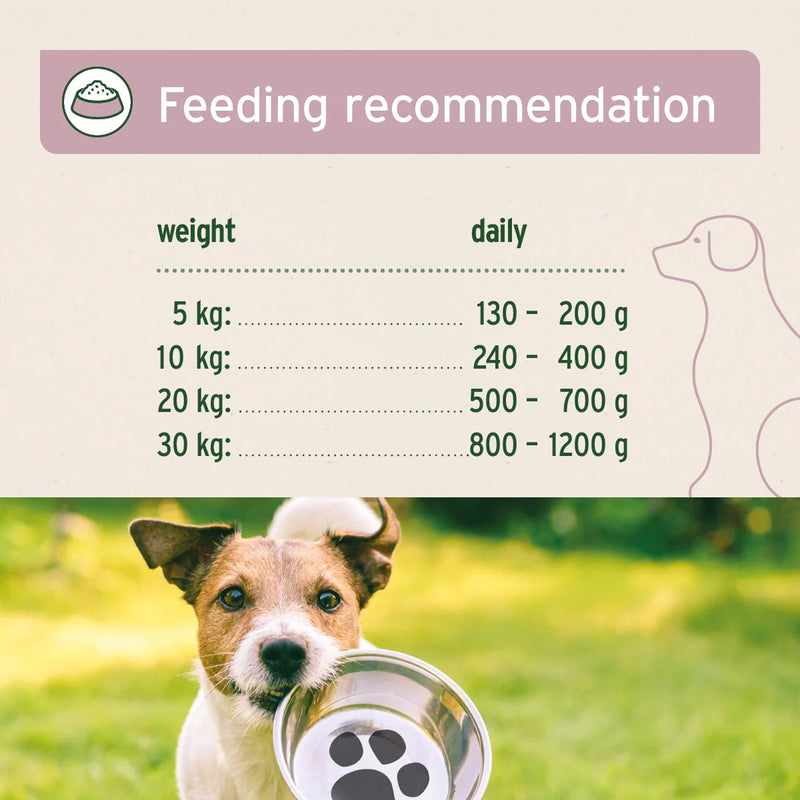 AniForte- PureNature Freeland Duck - Wet food for Dogs 800g