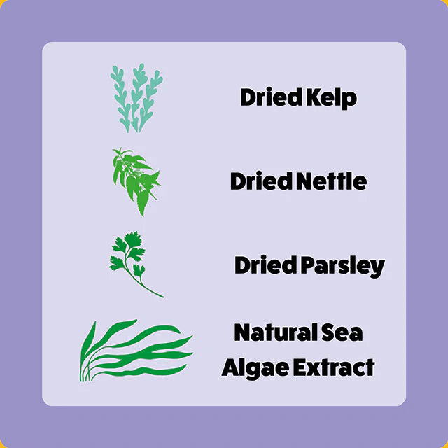 Axels Elixirs Beefy Buffalo Happy Bones