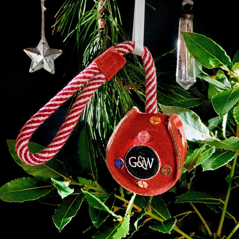 Monsieur Bauble, Eco Dog Toy