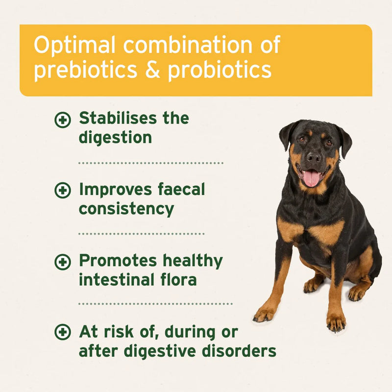 AniForte Probiotics