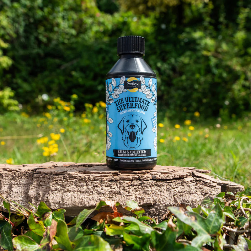 Proflax Calm & Collected Liquid Supplement for Dogs – 250ml