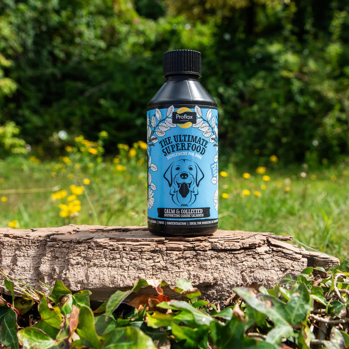 Proflax Calm & Collected 250ml