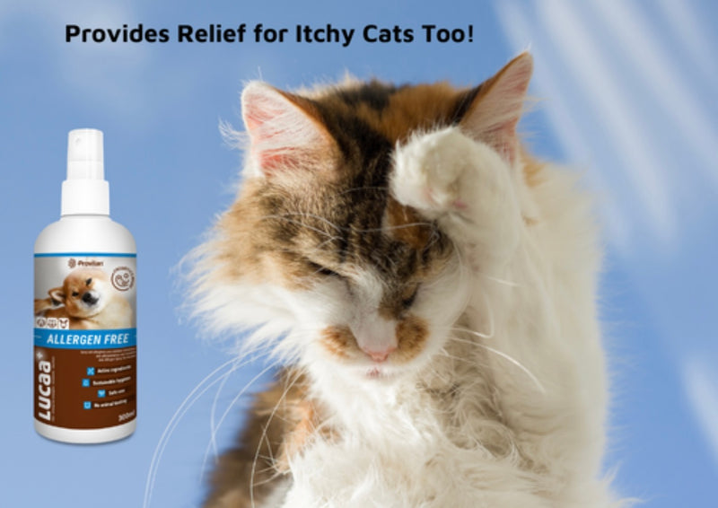 LUCAA+ Pet Probiotic Allergen-Free 300ml