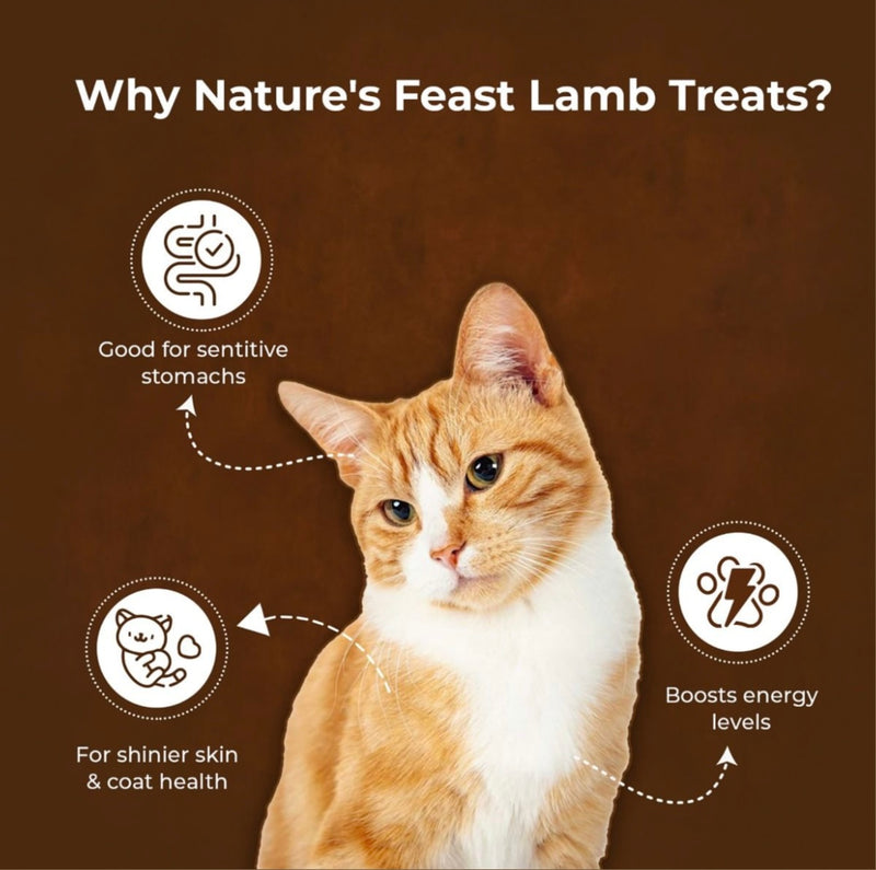 Pawfect Freeze-Dried Lamb Meat 50g