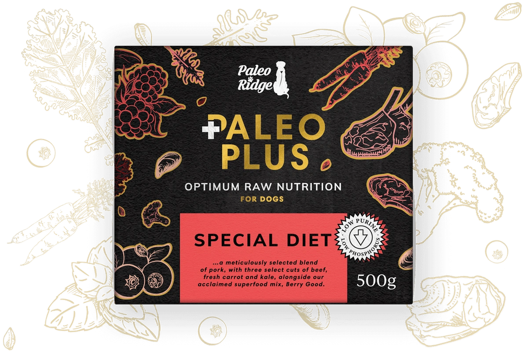 Paleo Ridge Special Diet 500g