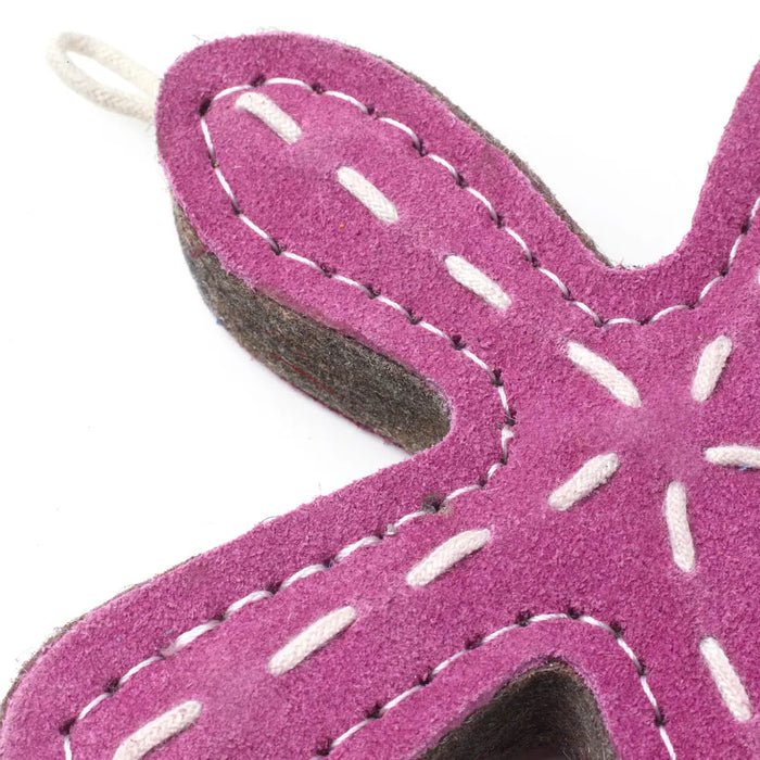 Stanley the Starfish Eco Toy