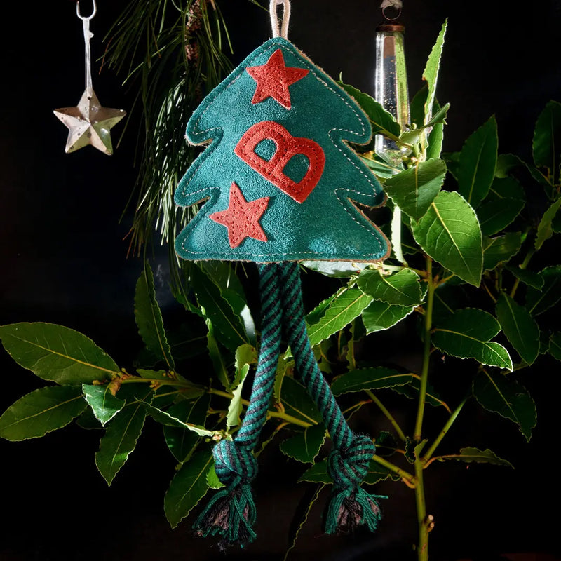 Bruce The Spruce, Eco Toy