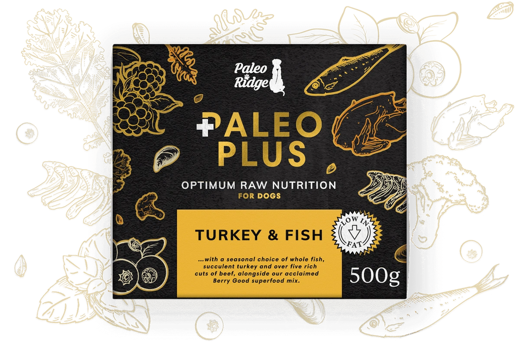 Paleo Plus Turkey and Fish 500g