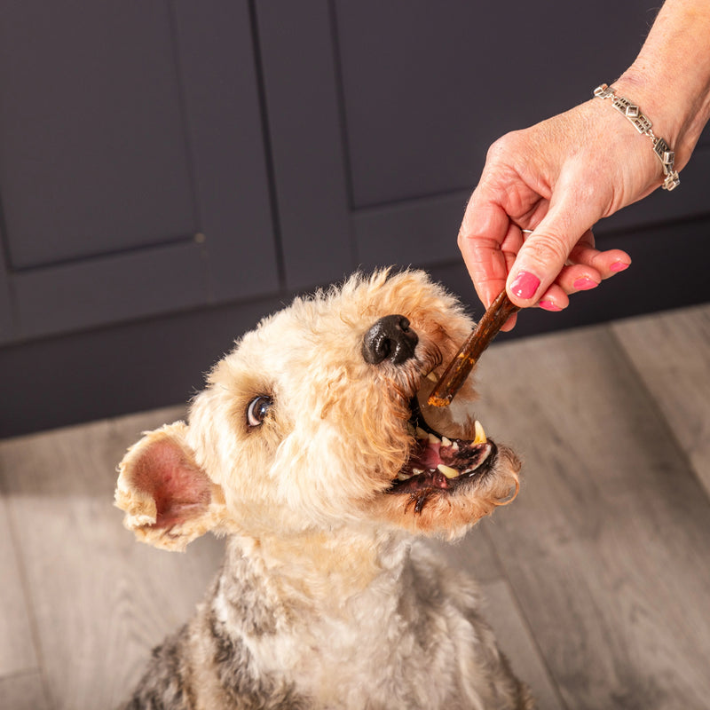 Venison Gourmet Pure Sticks 5pcs