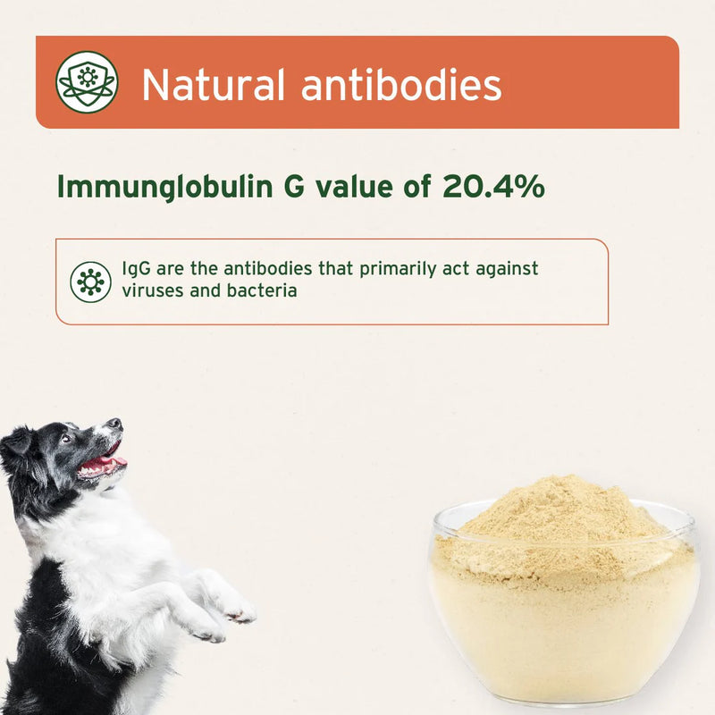 AniForte Premium Colostrum Powder for Dogs & Cats - 100g