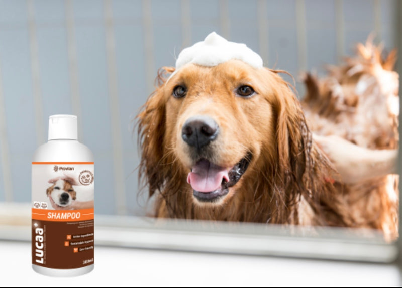 LUCAA+ Pet Probiotic Shampoo 300ml