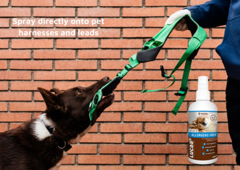 LUCAA+ Pet Probiotic Allergen-Free 300ml