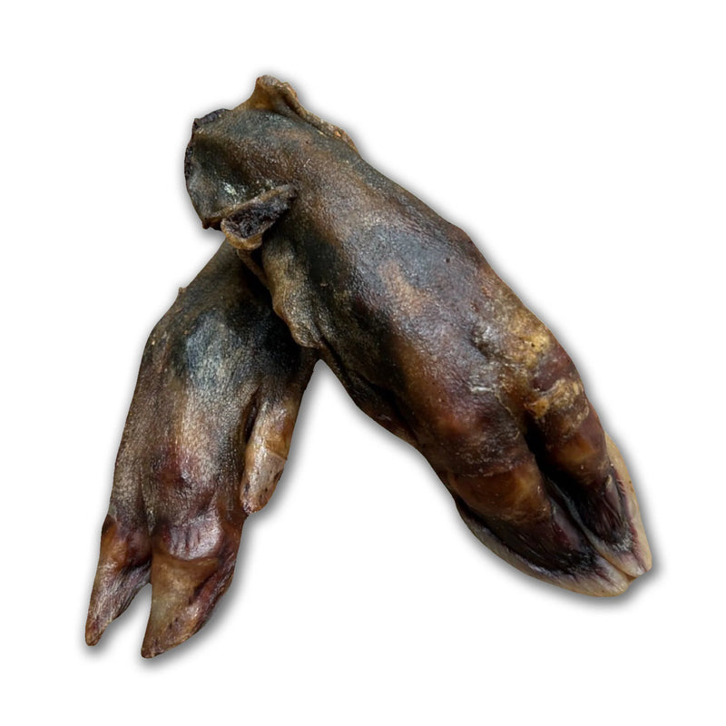 Meaty Wild Boar Legs