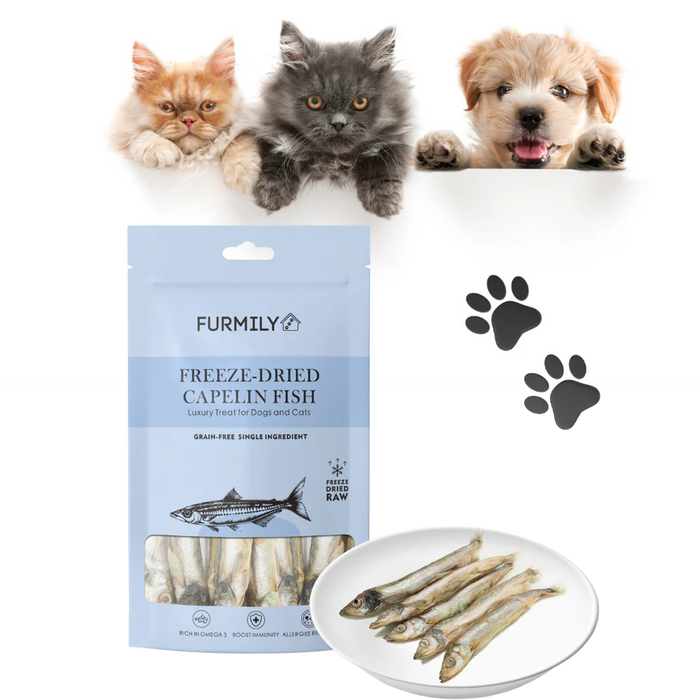 Freeze-Dried Capelin Fish 40g