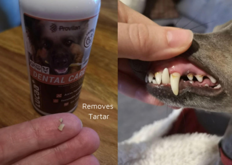 LUCAA+ Pet Probiotic Dental Care - 100ml Spray