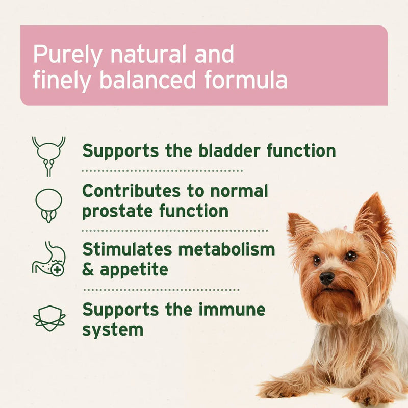AniForte Bladder Formula Powder 100g