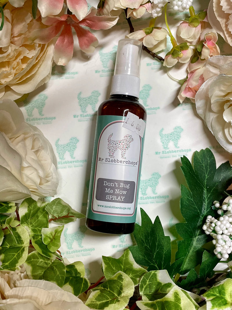 Mr Slobberchops - Don’t Bug Me Now spray 100ml