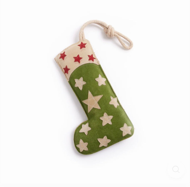 You’re a Star Stocking, Eco Dog Toy
