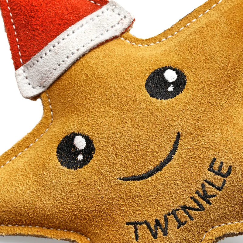 Twinkle The Star, Eco Dog Toy