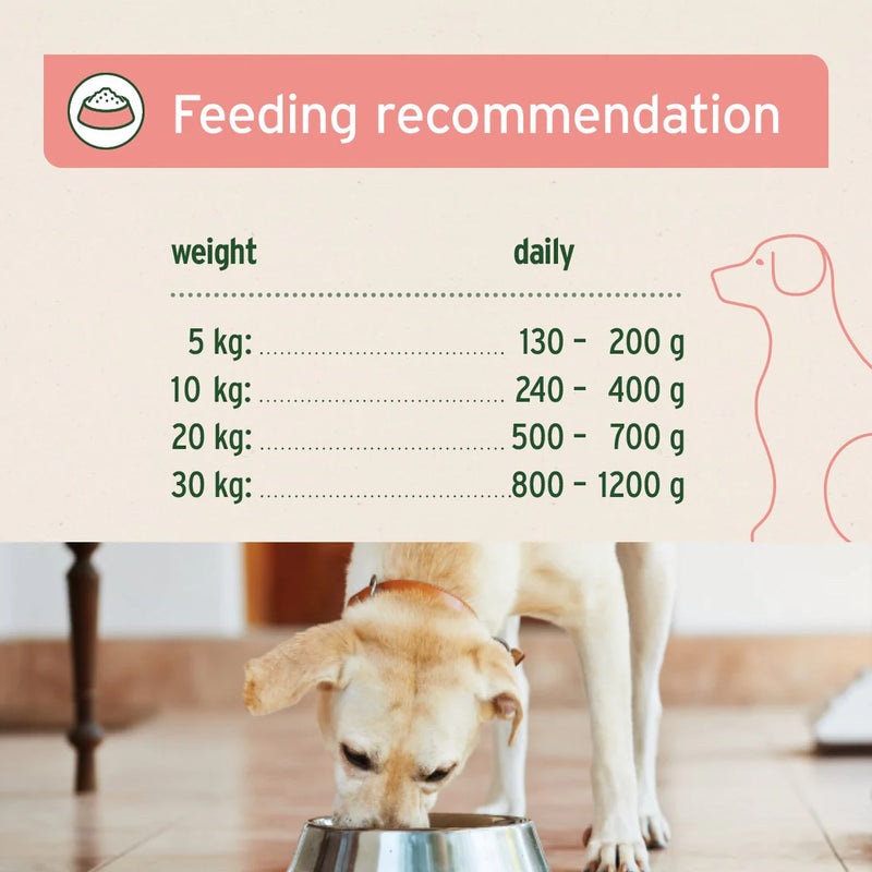 AniForte - PureNature Pure Beef - Wet food for Dogs 400g