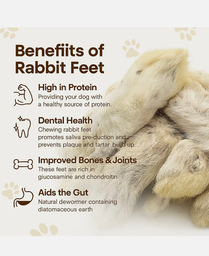 Rabbit Feet 1kg
