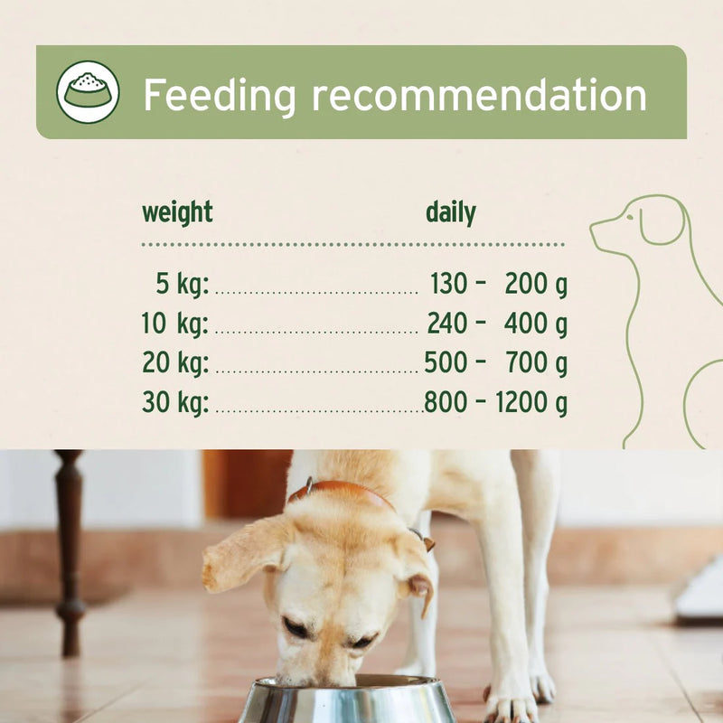AniForte Pure Horse - Wet food for Dogs 400g