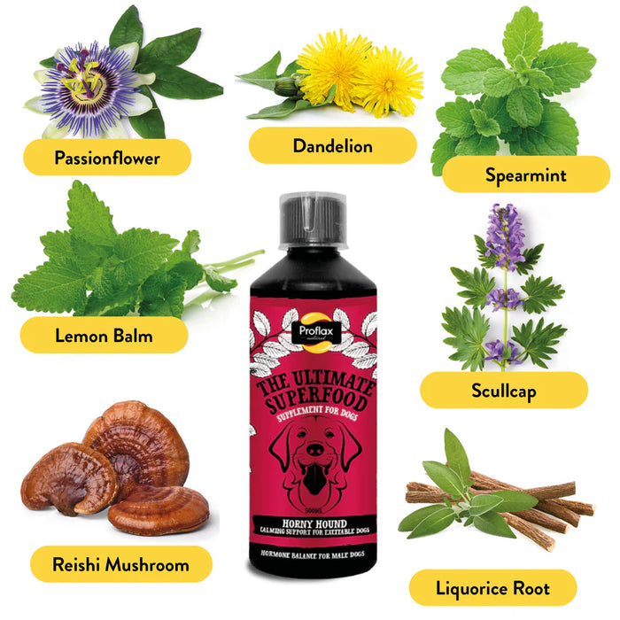 Proflax Horny Hound for Dogs 500ml
