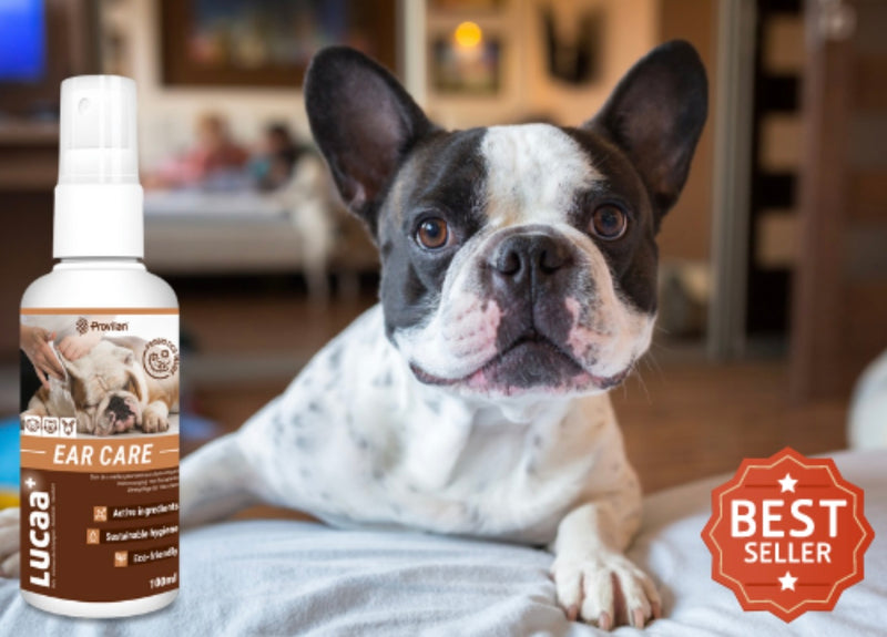 LUCAA+ Pet Probiotic Ear Care - 100ml Spray