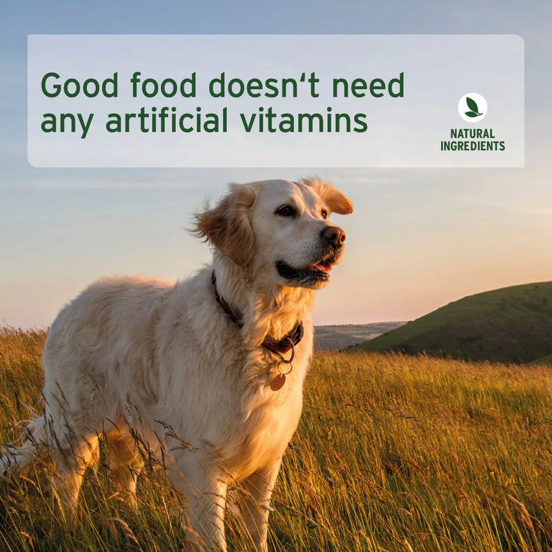 AniForte- PureNature Freeland Duck - Wet food for Dogs 800g