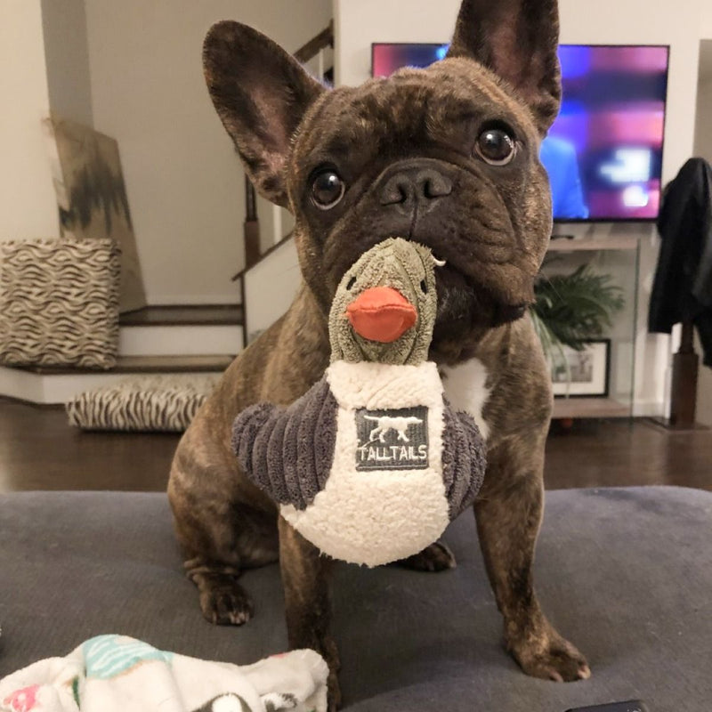 Tall Tails Duckling with Squeaker