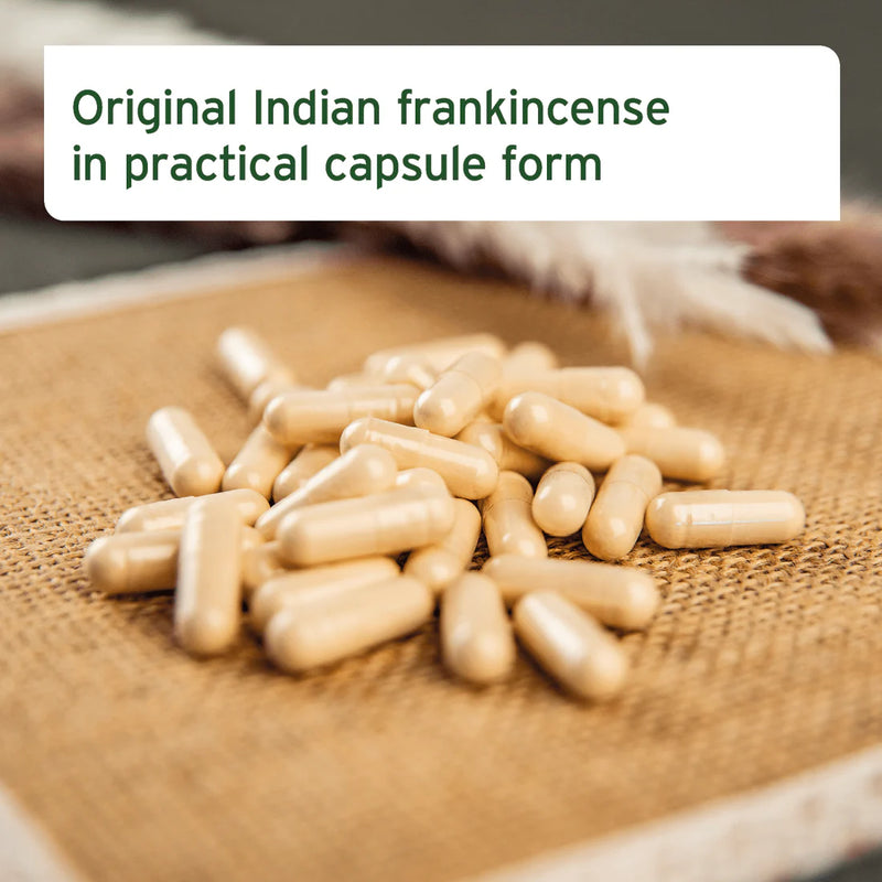 AniForte Frankincense (Boswellia) Capsules 100