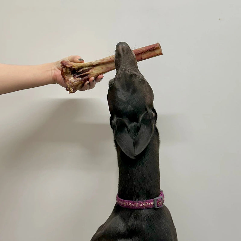 Ostrich Marrow Bones