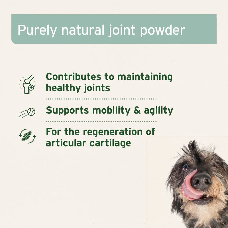 Aniforte Green Lippped Muscle Powder for Cats & Dogs 250g