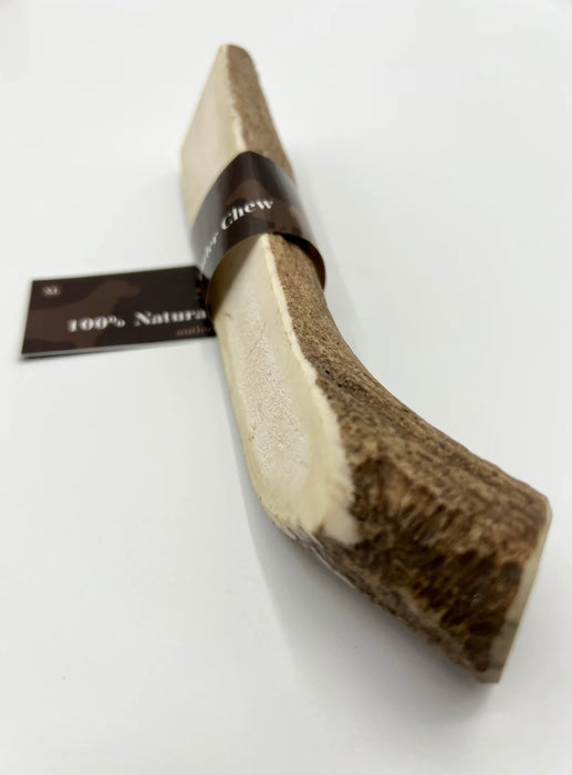 Elk/Moose Antler Chew XL
