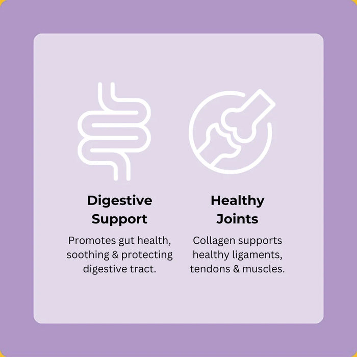 Axels Elixir Festive Turkey Happy Bones