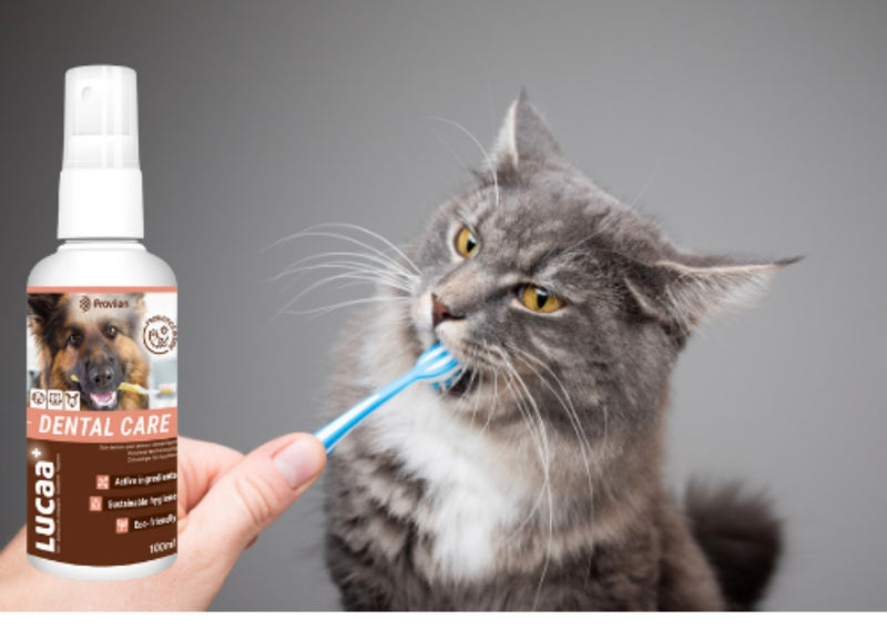 LUCAA+ Pet Probiotic Dental Care - 100ml Spray