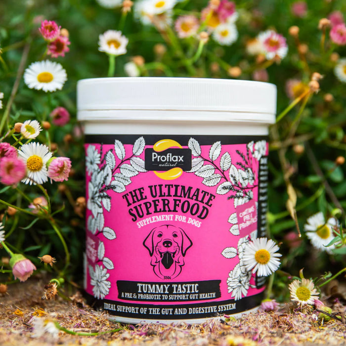 Proflax Tummy Tastic for Dogs 350g